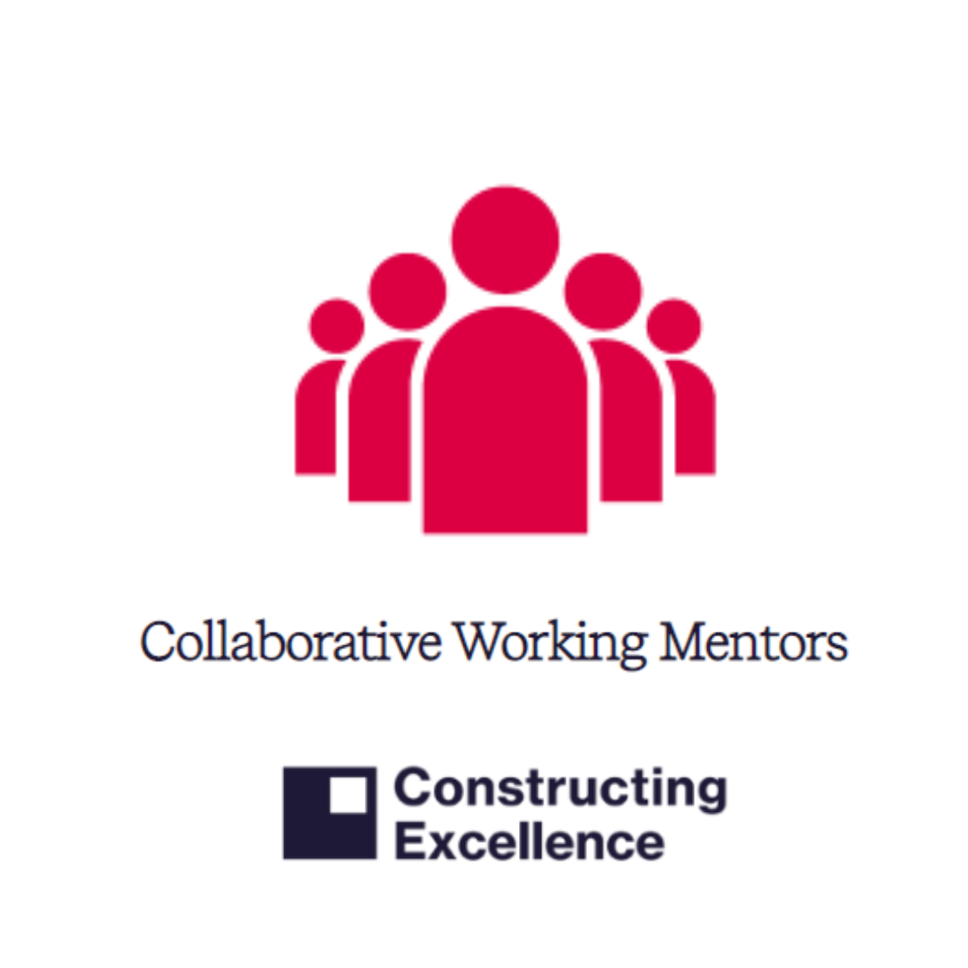 Collaborative Working Mentors - June